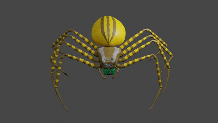 Le pose dei ragni: modello 3D